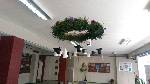 img 20160504094852431